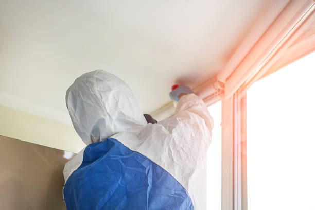 Best Emergency Mold Remediation  in Rockville Centre, NY